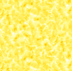 Color Dance 15 Yard Bolt